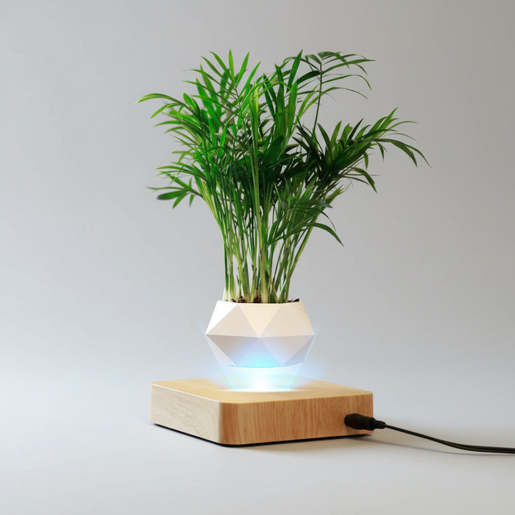 LevitaZen™ Floating Bonsai Pot – Magnetic Levitating Plant Planter