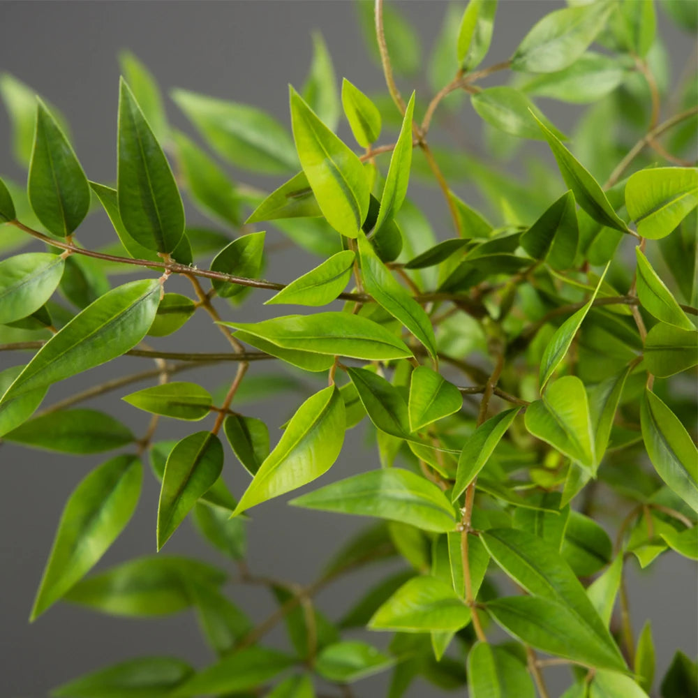 TropiLuxe™ Artificial Nandina Palm – Statement Greenery Without the Effort