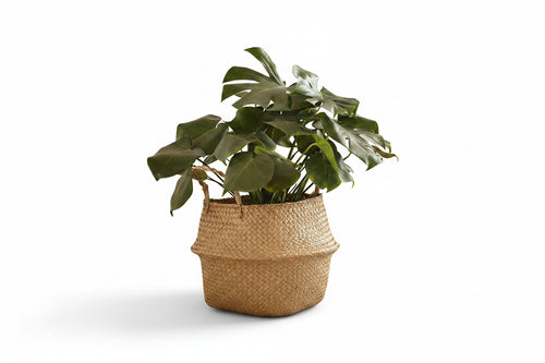 BohoWeave™ Straw Plant Basket – Natural Woven Pot Cover for Indoor & Outdoor Décor
