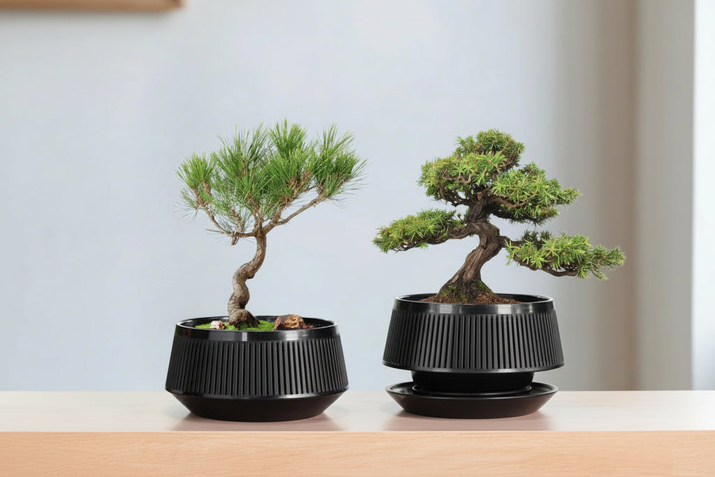 RootFlow™ Mesh Bonsai Pot – Air-Pruning Planter with Drainage Tray