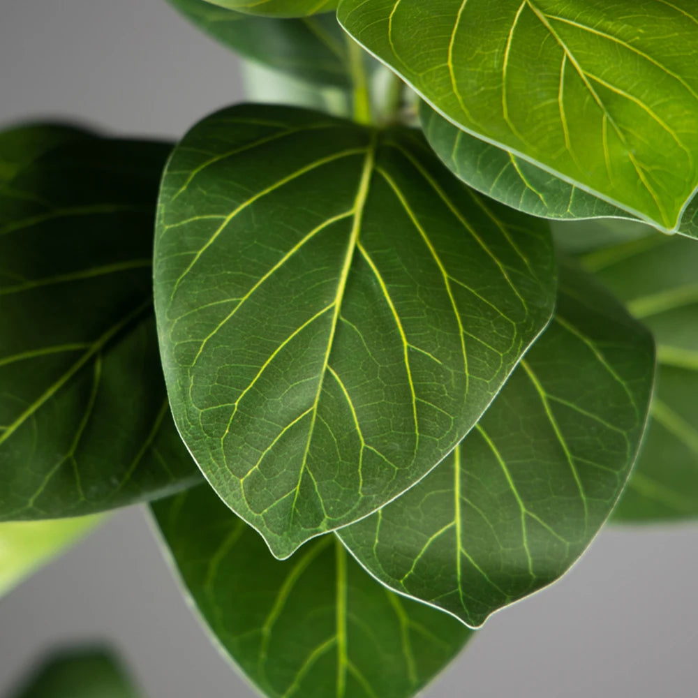 FicusGrande™ Artificial Tree 70–130cm – Lifelike Fiddle Fig & Mulberry Style Plant