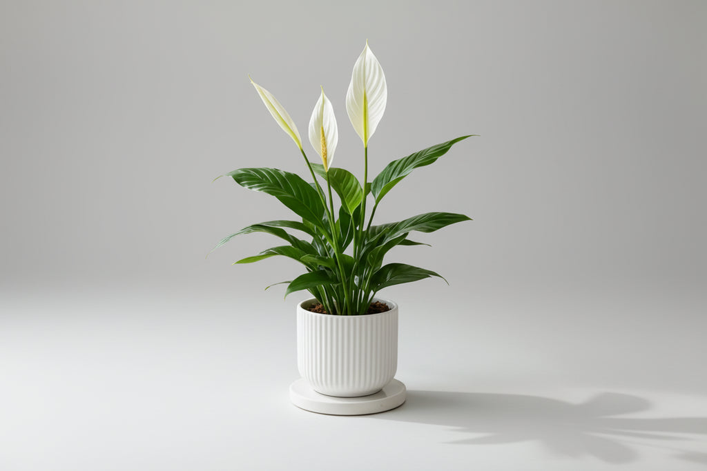 CallaBloom™ Artificial Calla Lily & Palm Leaf – Elegant White Floral Décor