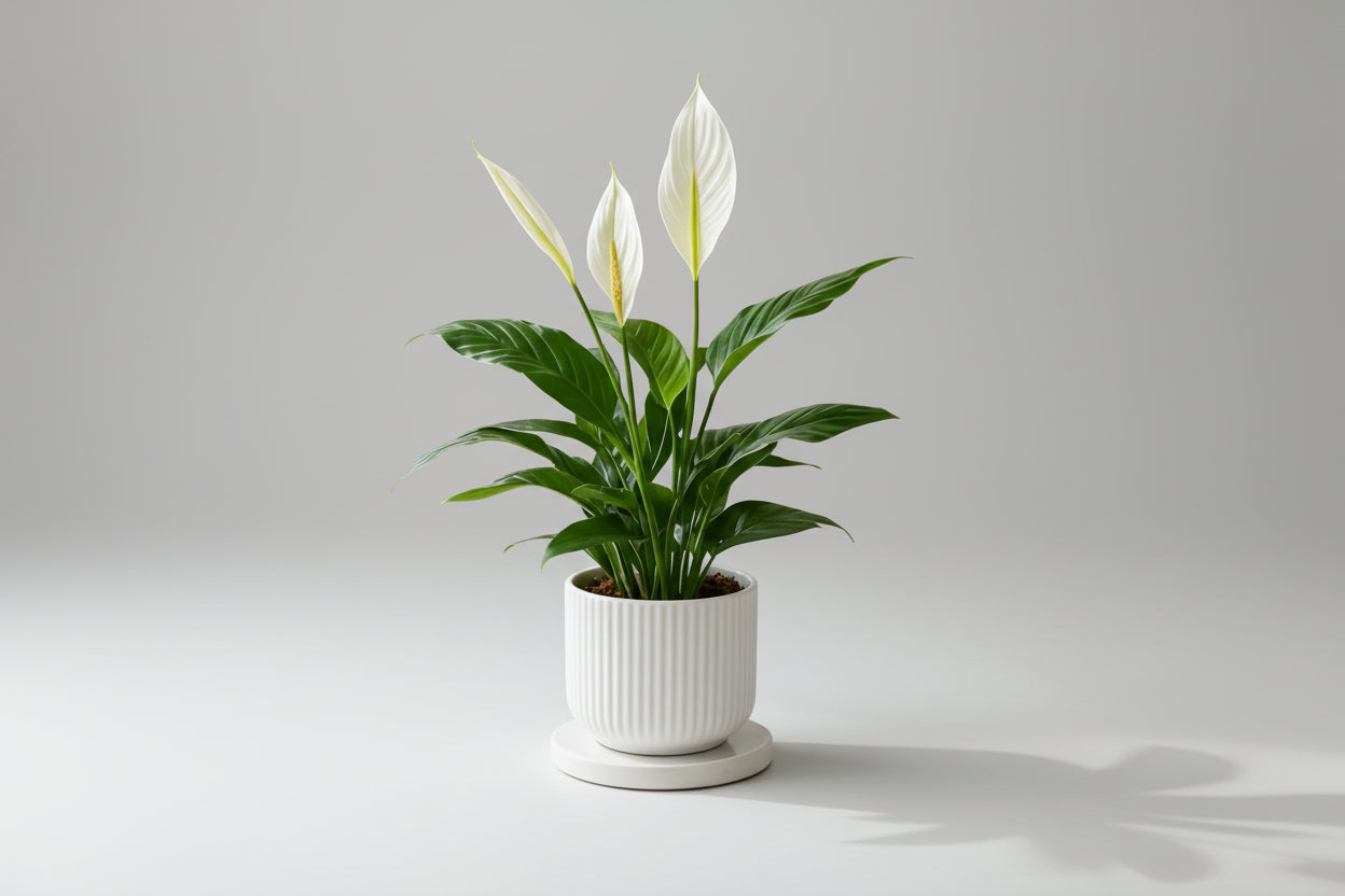 CallaBloom™ Artificial Calla Lily & Palm Leaf – Elegant White Floral Décor