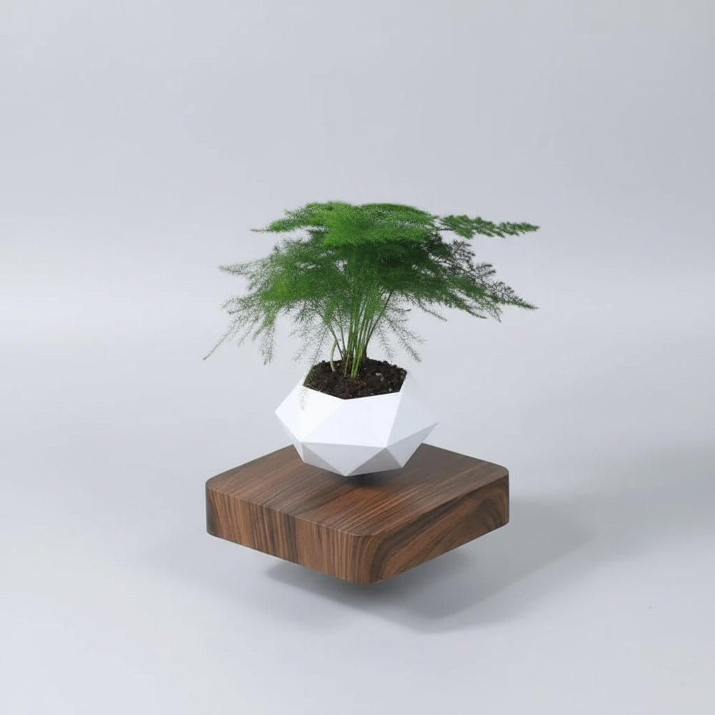 LevitaZen™ Floating Bonsai Pot – Magnetic Levitating Plant Planter