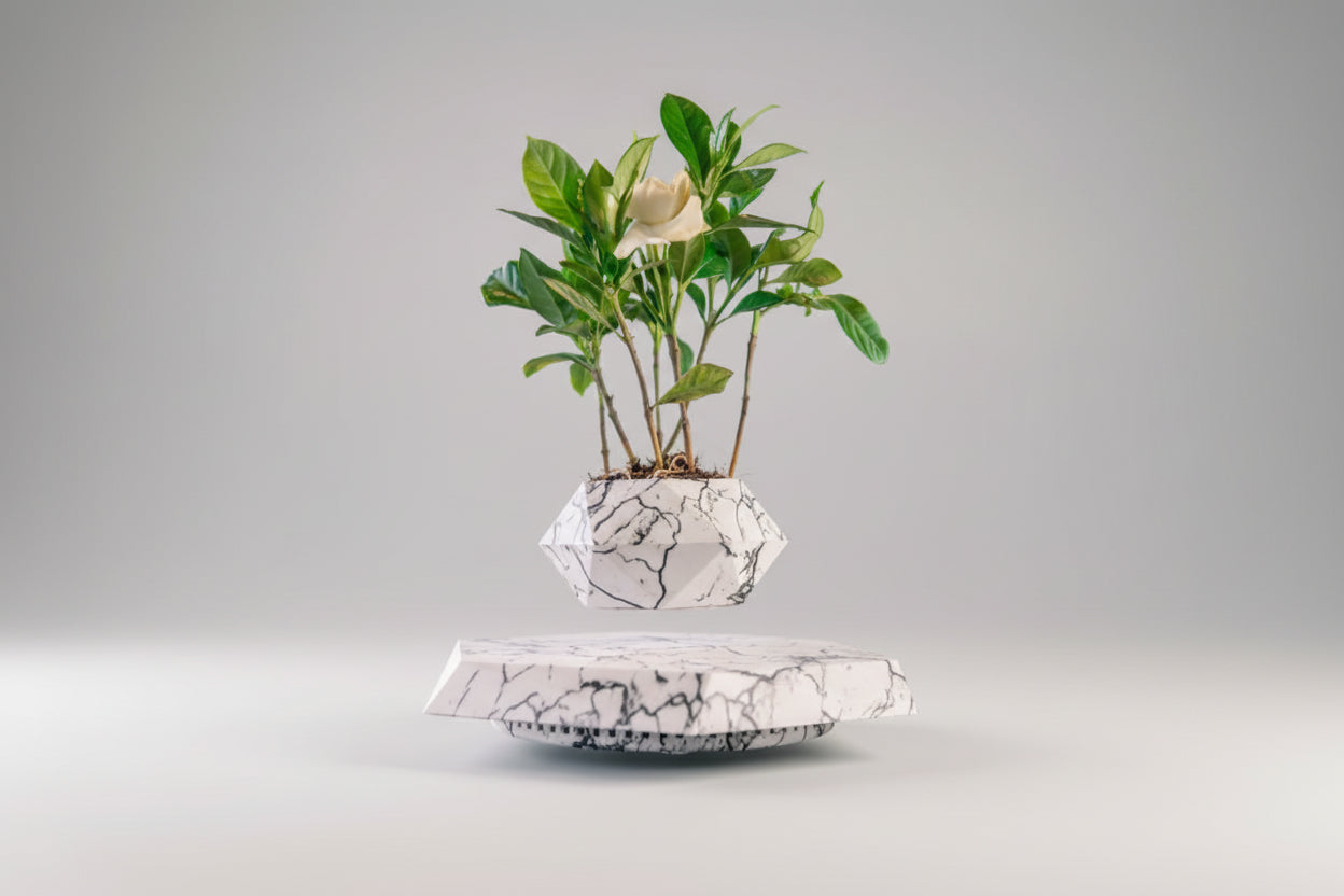 LevitaZen™ Floating Bonsai Pot – Magnetic Levitating Plant Planter