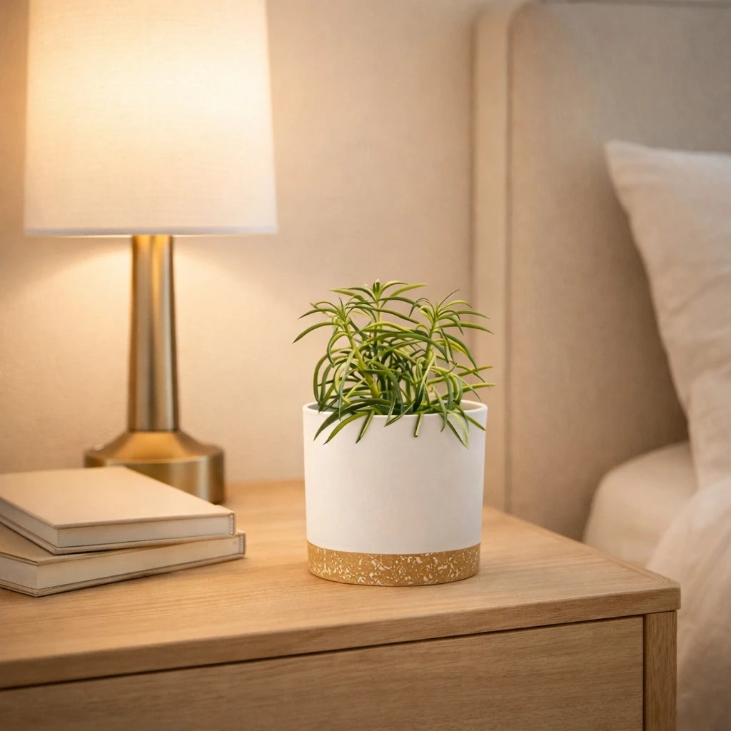 EasyDrain™ 2PCS Flower Pots – Removable Base Smart Planters (16.5cm)