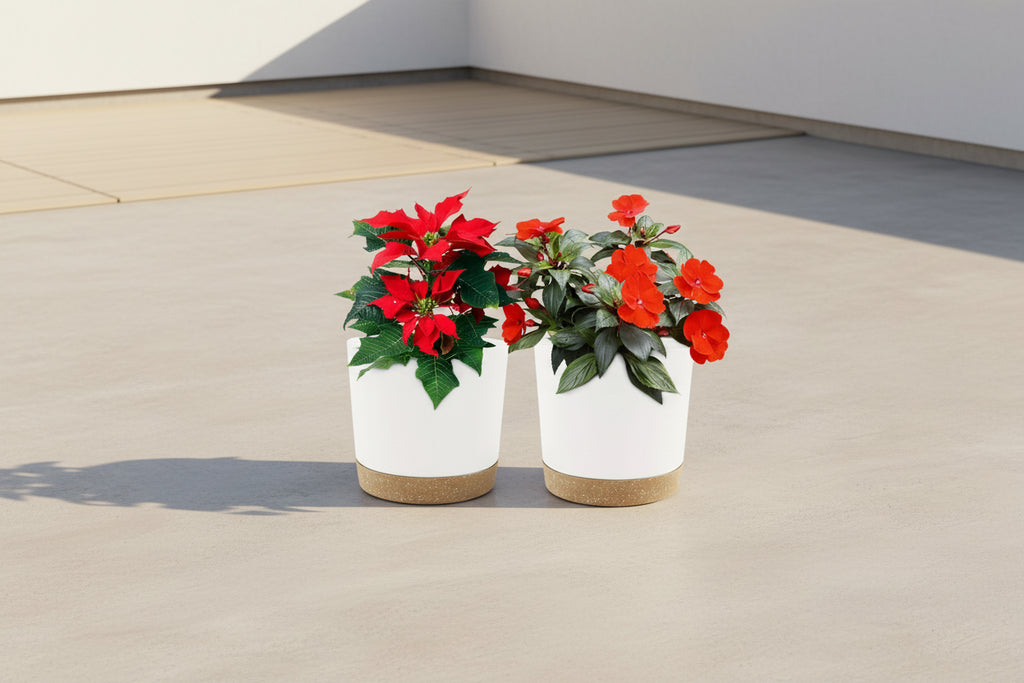 EasyDrain™ 2PCS Flower Pots – Removable Base Smart Planters (16.5cm)
