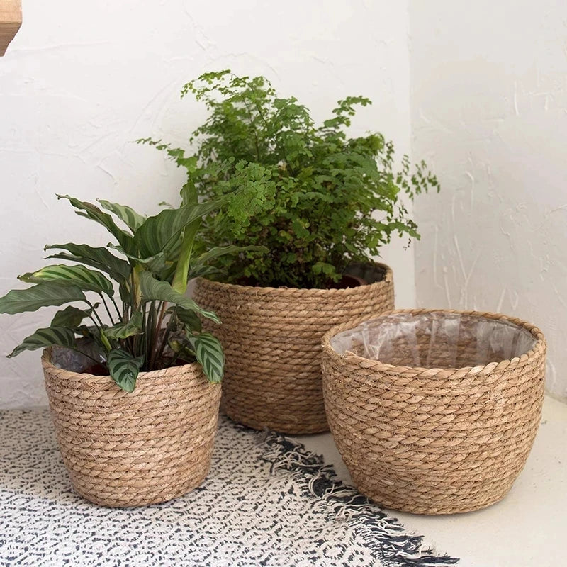 BohoWeave™ Straw Plant Basket – Natural Woven Pot Cover for Indoor & Outdoor Décor