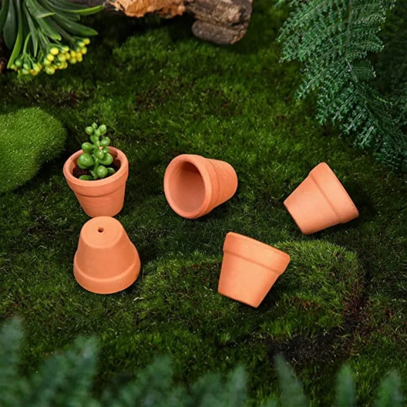 TerraMini™ 80pcs Mini Terracotta Pots – DIY Planting & Craft Kit