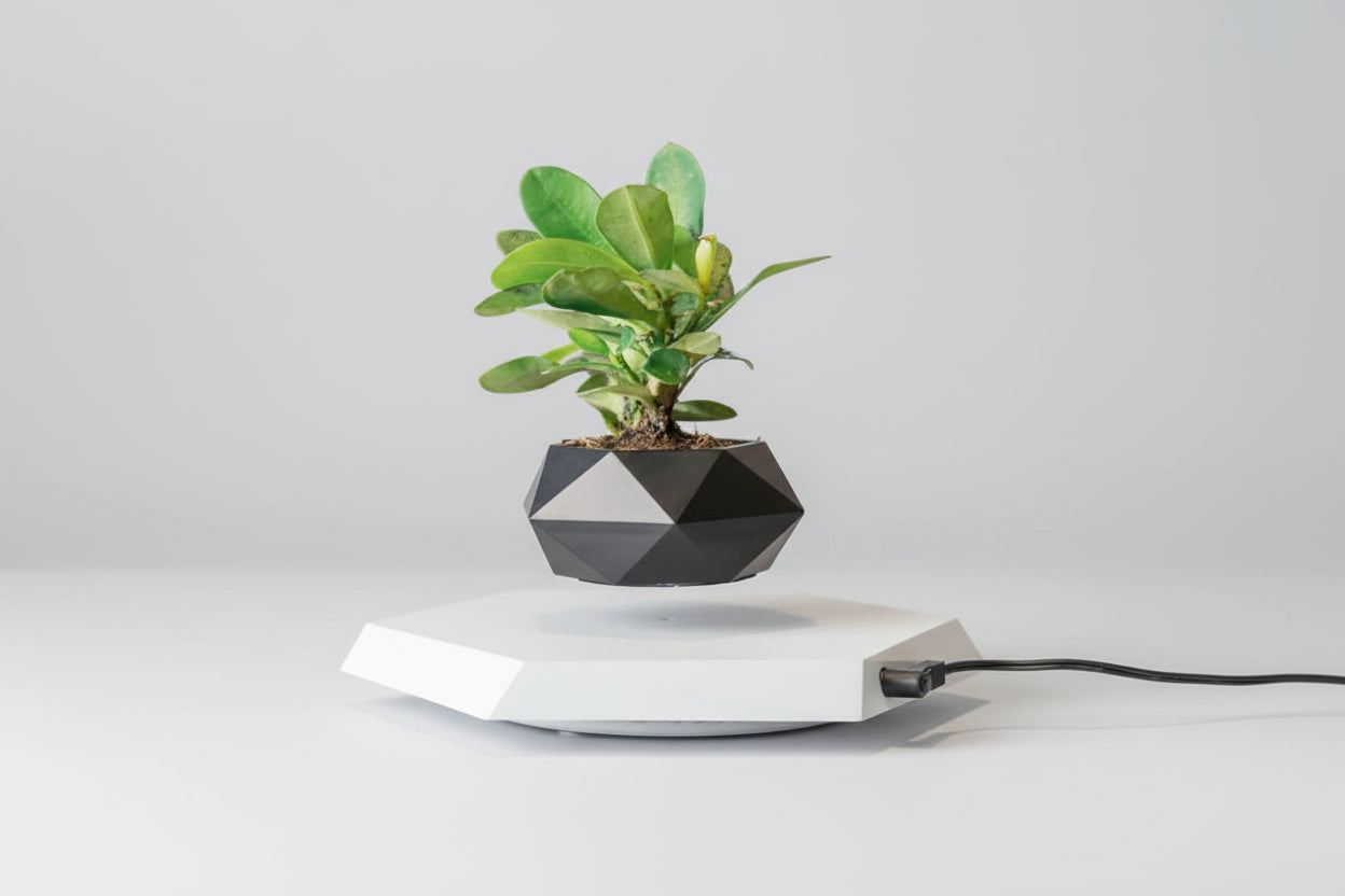 LevitaZen™ Floating Bonsai Pot – Magnetic Levitating Plant Planter