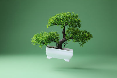 ZenAura™ Artificial Bonsai Tree