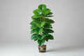 PothosLuxe™ Artificial Plant – 24-Leaf Tall Faux Greenery in Pot