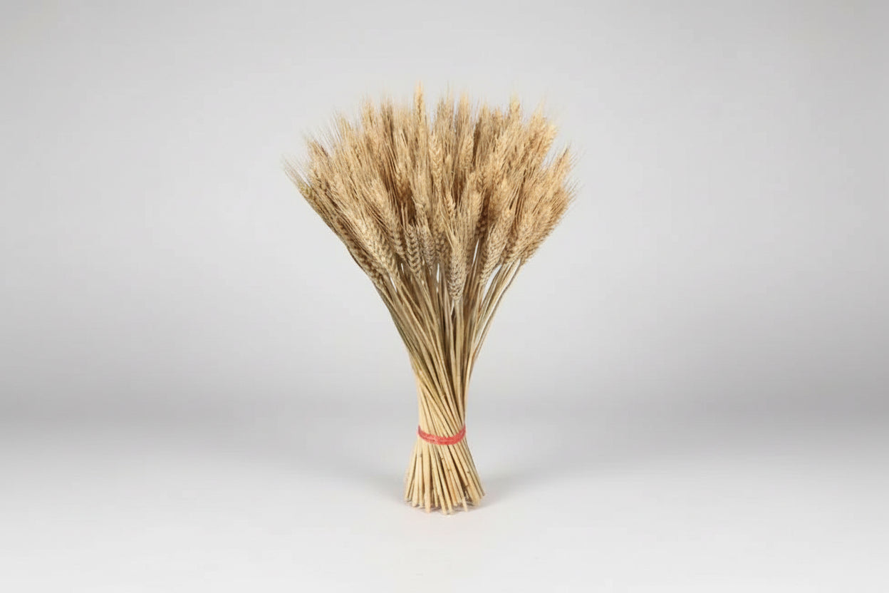 GoldenHarvest™ 100 pcs Dried Wheat & Bunny Tail Flowers – Natural Rustic Décor