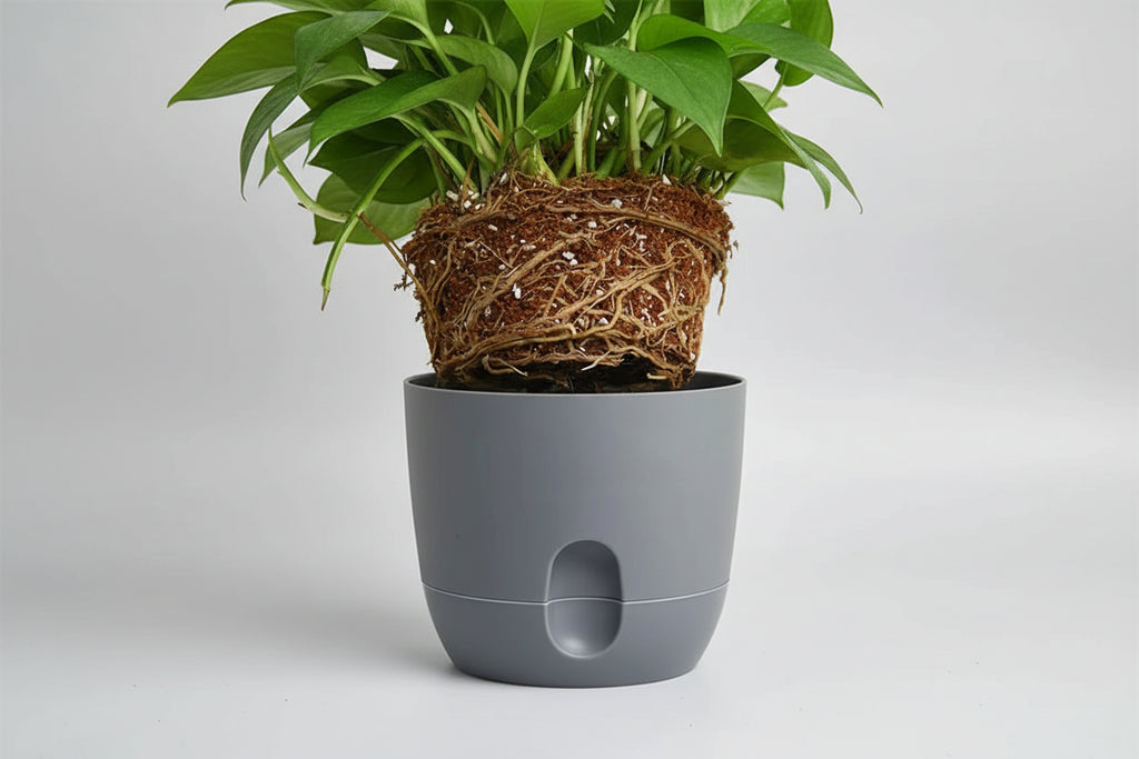 HydroEase™ Self-Watering Planter – 2-Layer Smart Hydroponic Pot with Wick System