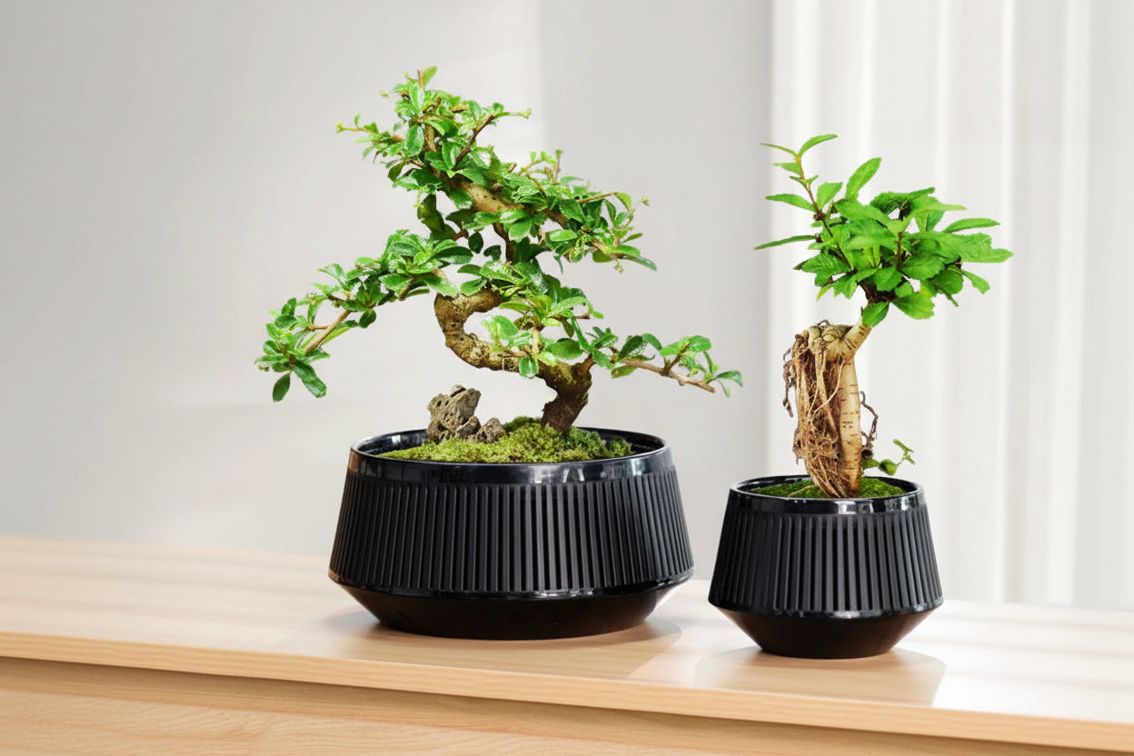 RootFlow™ Mesh Bonsai Pot – Air-Pruning Planter with Drainage Tray