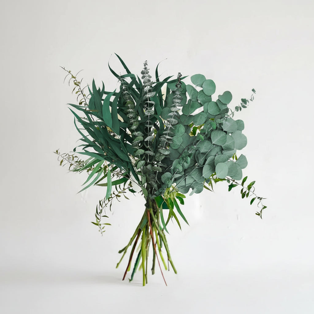 EucaPure™ Dried Eucalyptus Bundle – Natural Preserved Leaves for Home & Shower Spa