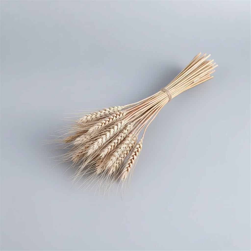 GoldenHarvest™ 100 pcs Dried Wheat & Bunny Tail Flowers – Natural Rustic Décor