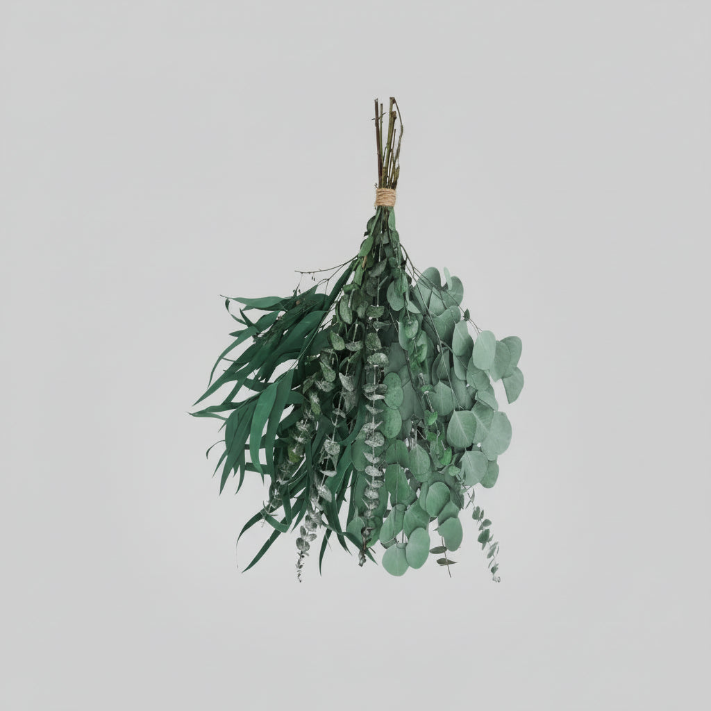 EucaPure™ Dried Eucalyptus Bundle – Natural Preserved Leaves for Home & Shower Spa