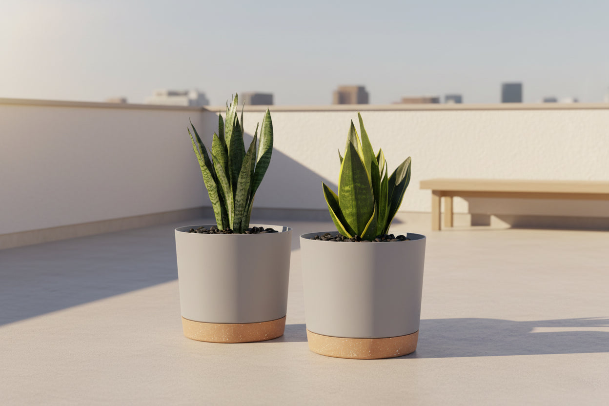 EasyDrain™ 2PCS Flower Pots – Removable Base Smart Planters (16.5cm)