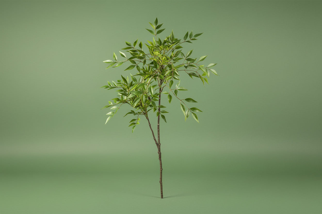 TropiLuxe™ Artificial Nandina Palm – Statement Greenery Without the Effort