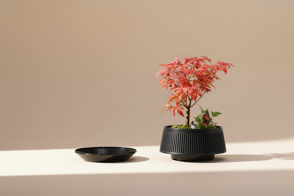 RootFlow™ Mesh Bonsai Pot – Air-Pruning Planter with Drainage Tray