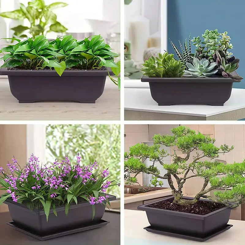 ClayZen™ Rectangular Bonsai Pot – Purple Clay Style Garden Planter