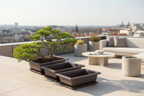 ClayZen™ Rectangular Bonsai Pot – Purple Clay Style Garden Planter